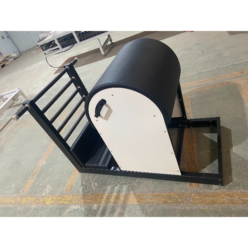 YTYIN Pilates Machine Ladder B - Pilates Yoga Core recensione e prezzo